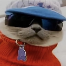 Dexter Scheibelhoffer