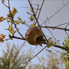 سَــارَة ⭐️