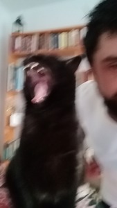 R.