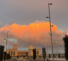 cécile *ੈ✩‧₊˚