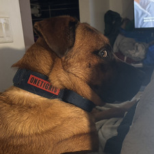 Sam