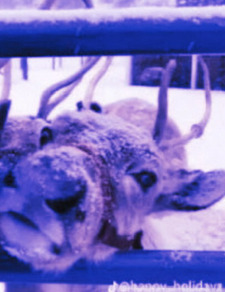 Ava(matching pfp with Ava!!!)