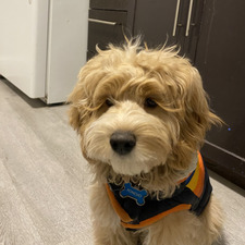 Fernando