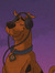 ScoobyD...