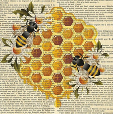 &#x1d43b;&#x1f33b;&#x1d4c3;&#x1d452;&#x1d4ce;&#x1d435;&#x1d452;&#x1d452;&#x1f41d;