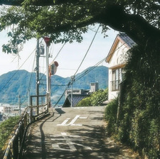 Allison Piechowski
