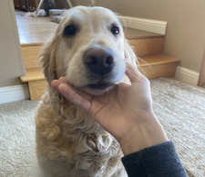 ellie