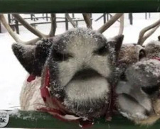 Ava ୨ৎ (matching pfps with Ava)