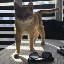 Ema 🫶🏼 Golaboska