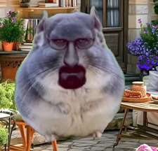 Bagi