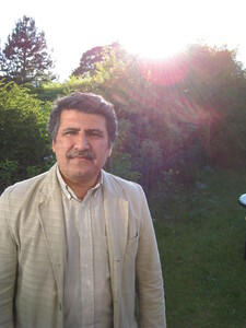 مرتضا محمودی