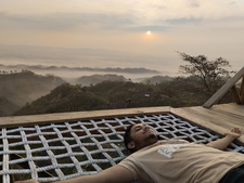 হাবীব আহমাদ