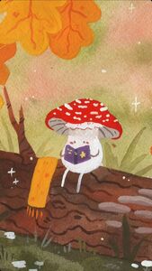 bookwitch