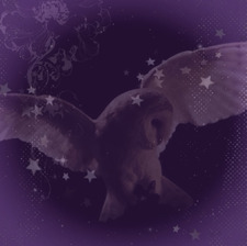 tazzy!! ☆ ⋆˚꩜｡