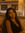 Tala Mosalam