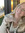 Heather Sullivan