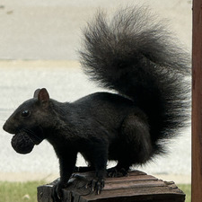 maddy van wijngaarden