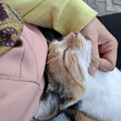 OLa