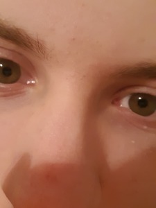 Reader's Guide to the Galaxy