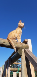 Francisco