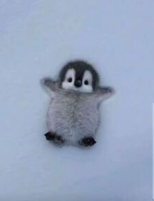 Lo
