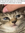 member photo member photo