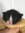 Conchi A