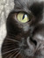 Mathilde