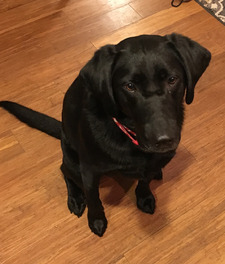 ‘ ~ * . hannerz . *~ ‘