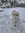 Olaf