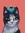twocatsandabook
