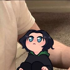 Celeste⁠✧⁠*⁠。