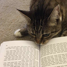 darshika ʕ˙Ⱉ˙:‧ʔ 