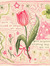 Elif