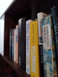 Mimisbookshelf ☄️