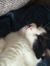 Lalie✰