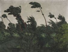 Vincent