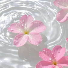 Posthermit ( formerly vaithx )