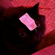 Francisco Duque Lima