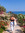 Iris Dobbe