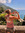 Megan Maples