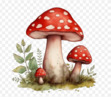 The Reading Mushroom