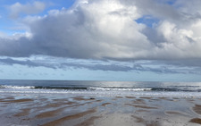 Ava Beesley-Harrison