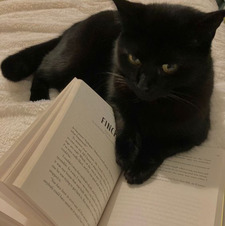 ReadingCat