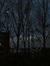 Harika