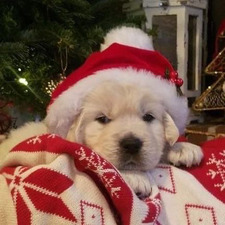 sofi🎀🧸 jinu’s version~autumn vibes🧸