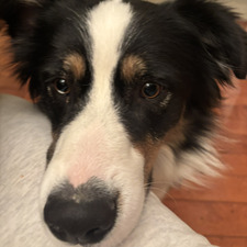 Riley