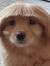 Constance