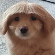 Constance