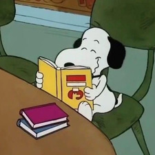 mogi ✩₊˚.⋆  ☾⋆⁺₊✧